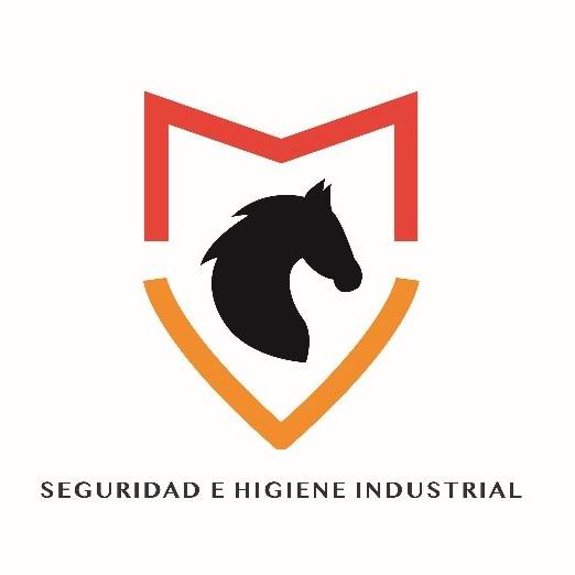 M&V CONSULTORES EN SEGURIDAD LABORAL